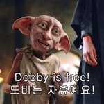 [댓글부탁해] 옵치 <b>닉넴</b> 뭐 할까 추천 좀!!!