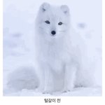 [댓글부탁해] 귀여워...