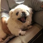 [드루와] <b>에어</b>팟있는데 이어폰이 더 좋아