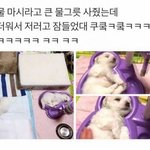 [드루와] <b>썸</b><b>붕</b>났다...ㅎ