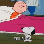 [댓글부탁해] 나만큼 <b>재능</b> 없는 사람 있냐ㅋㅋㅋ