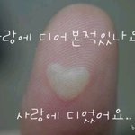 내가 콘서트를 가는 건지 <b>피씨</b>방을 가는 건지