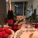 살면서 느낀 걸러야 할 친구 모음집