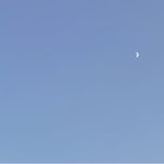 내 친구 <b>넷상</b>으로 연애하는데