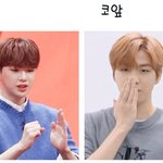 [강다니엘] 강다니엘 이런 표현력 좋아 (·•︠ᴗ•︡ )