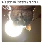 ㅋㅋㅋㅋㅋㅋ정신이 드녜