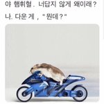 [댓글부탁해] 섭웽이 <b>쿠키</b> 핵존맛탱