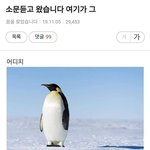 [모두드루와] <b>소문</b>듣고 왔습니다