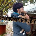 [강아지] 유튜브를 시작했습니다