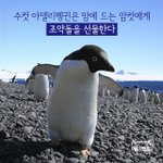 [<b>댓글</b>부탁해] 저녁 추반좀