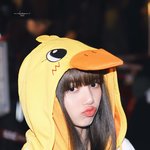 블핑 블랙핑크 <b>리사</b> 로제 지수 제니
