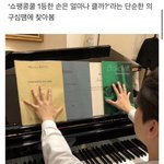 <b>쇼팽</b>콩쿨 1위 피아니스트 손크기