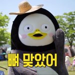 [댓글부탁해] 내신 6점댄데 정시<b>올인</b> 어때