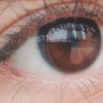 오늘 <b>아라</b>