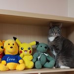 진짜를 찾아주세요??  장식모범<b>답안</b>