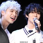 <b>cix</b> 팬싸에 등장한 댕댕이 두마리