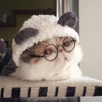 <b>모자</b>를 쓰면 덜 춥냥?