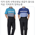 [모두드루와] 남자 선생님들 <b>단체복</b> 아님?