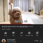 [드루와] 얘들아 너네 얘아냐ㅠㅠㅠ?????