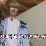 누구 누룽지싫어하는사람있냐..;/