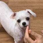 완전 슬퍼보이지않냐?