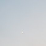 [조언부탁해] 전문대 대학 좀 골라줘 ㅠ