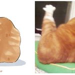 귀여운 <b>사진</b>을 그림으로 그려<b>봄</b>!