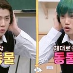 아는형님 초토화시킨 카이