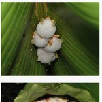 [모두드루와] 아귀여워 ㅜㅜㅜㅜㅜ