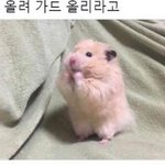 [댓글부탁해] 누구 걸어서30분?<b>네이버웹툰</b>보는사람