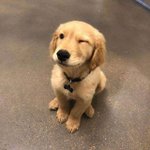 [드루와] 판남들 판<b>녀랑</b> 연락썰 풀어바