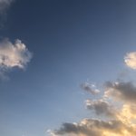 [댓글부탁해] 이거 폰<b>투명</b>케이스이름머임