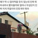 [댓글부탁해] (<b>미방</b>)콧대 낮은데 진짜 어떡해