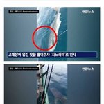 [모두드루와] 지느러미로 인사한 고래<b>상어</b>