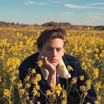 [<b>19</b>] 나 어제 겪은 순수한 <b>썰</b> 풀어주고 싶은데