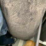 [모두드루와] 백호가 올린 <b>펭수</b>