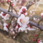 도대체 판에 몸<b>사</b> 올리는애들