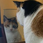 [댓글부탁해] <b>give</b>