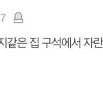 [댓글부탁해] (글<b>내림</b>) 우리집에서 본인 집 행세한 듯한 가사도우미