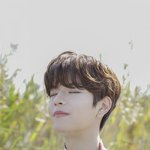 요새 댕댕상 아이돌 너무 좋아 댕댕 남돌 추천좀