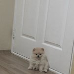 [댓글부탁해] 추가)이사진 <b>상황설명</b>
