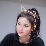 버스터즈 은근 존<b>예들</b> 많은듯