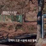 진짜 이게 사람이 할짓이냐??