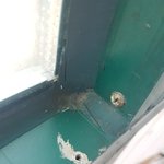 [방탈죄<b>송</b>] 30만원 넘는돈 날렸어요