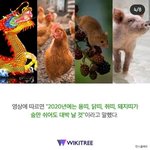 무당피<b>셜</b> 2020년 대박나는 띠ㄷㄷ