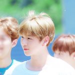 [모두드루와] 강다니엘이 컴백 1주일동안 겪은 일