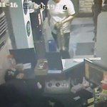 고양이 살해. 실연 기분 나빠서 <b>범행</b>