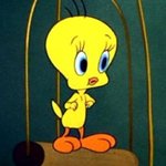 두달동안 할만한 것들 추천해주<b>세료</b>