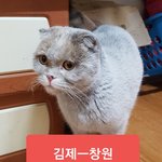 [고양이] <b>김제</b>에서 창원으로