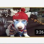 [이것좀봐줘] 박막x할무니 <b>오묘</b>히 닮은거같기두..?